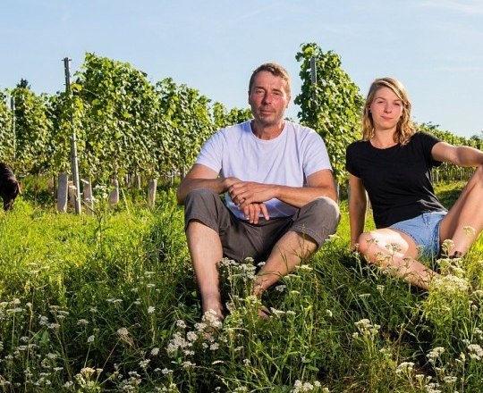 Two people are sitting in a meadow in front of a vineyard.
