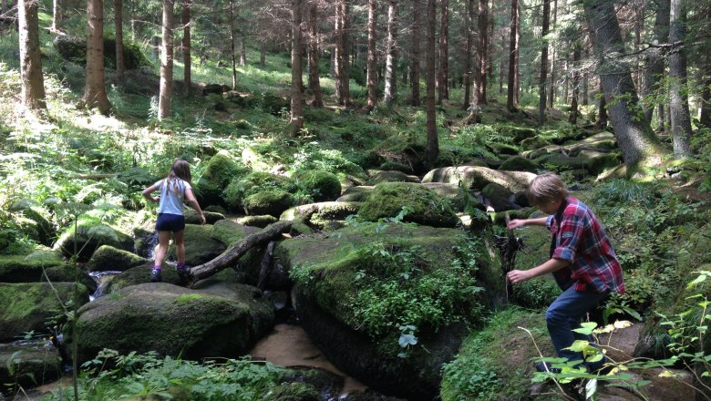 Climbing in the forest, © St. Annahof