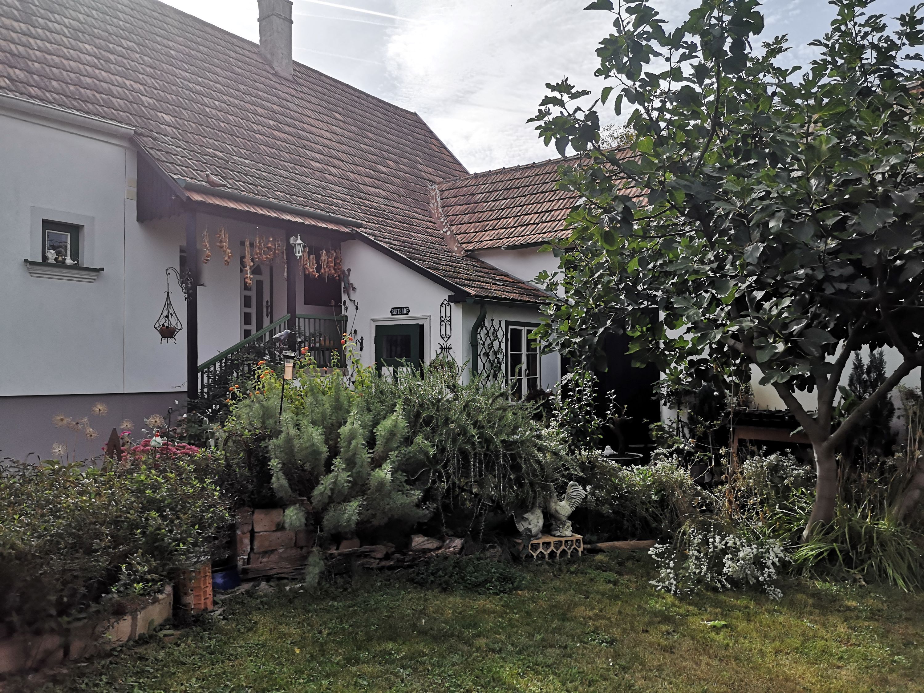 A cozy house with a garden, surrounded by plants and a tree.