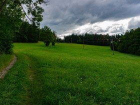 Leichter Anstieg Richtung Bergern, &copy; Unknown