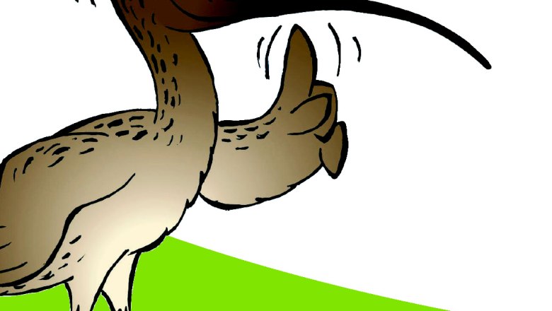 Mr. Piep theme trail, &copy; Marktgemeinde Ardagger