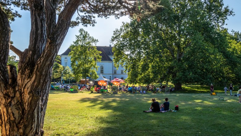 People relaxing in the park under trees, with a large building in the background.