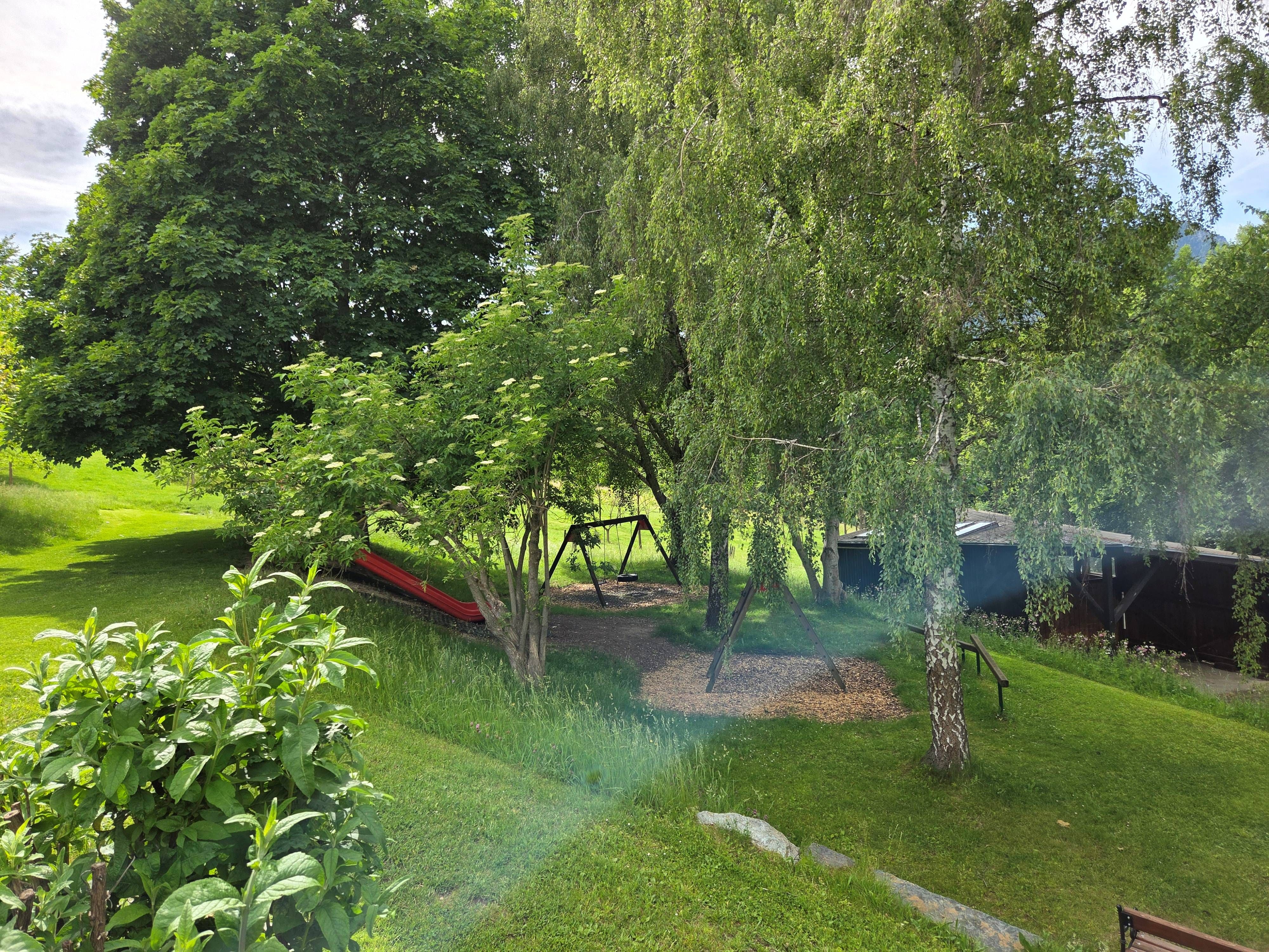 A green garden with trees, a swing, and a slide.