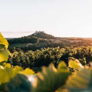 Green wine landscape in Falkenstein., © Niederösterreich Werbung/Romeo Felsenreich