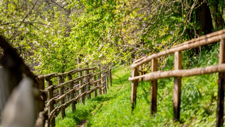 Natur genießen., © Wiener Alpen / Christian Kremsl