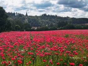 Stift Zwettl, &copy; Unknown