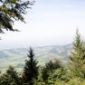 Panoramic view from the Grüntalkogelhütte of a green hilly landscape with trees in the foreground.