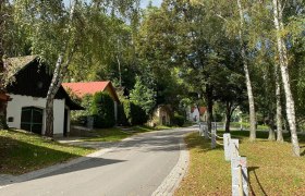 A picturesque street (row of cellars) with small houses and trees in a rural setting.
