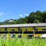 Yellow building with flower balcony in front of a wooded hill and blue sky.
