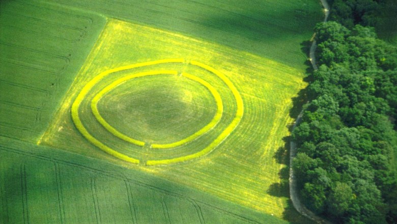 Aerial view of a circular ditch in a field next to a forest.
