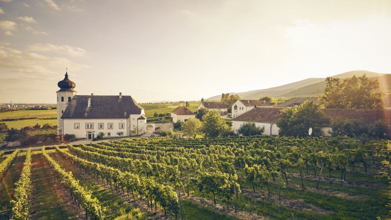 A loyal companion in the Thermenregion: the wine of Thallern, © Andreas Hofer
