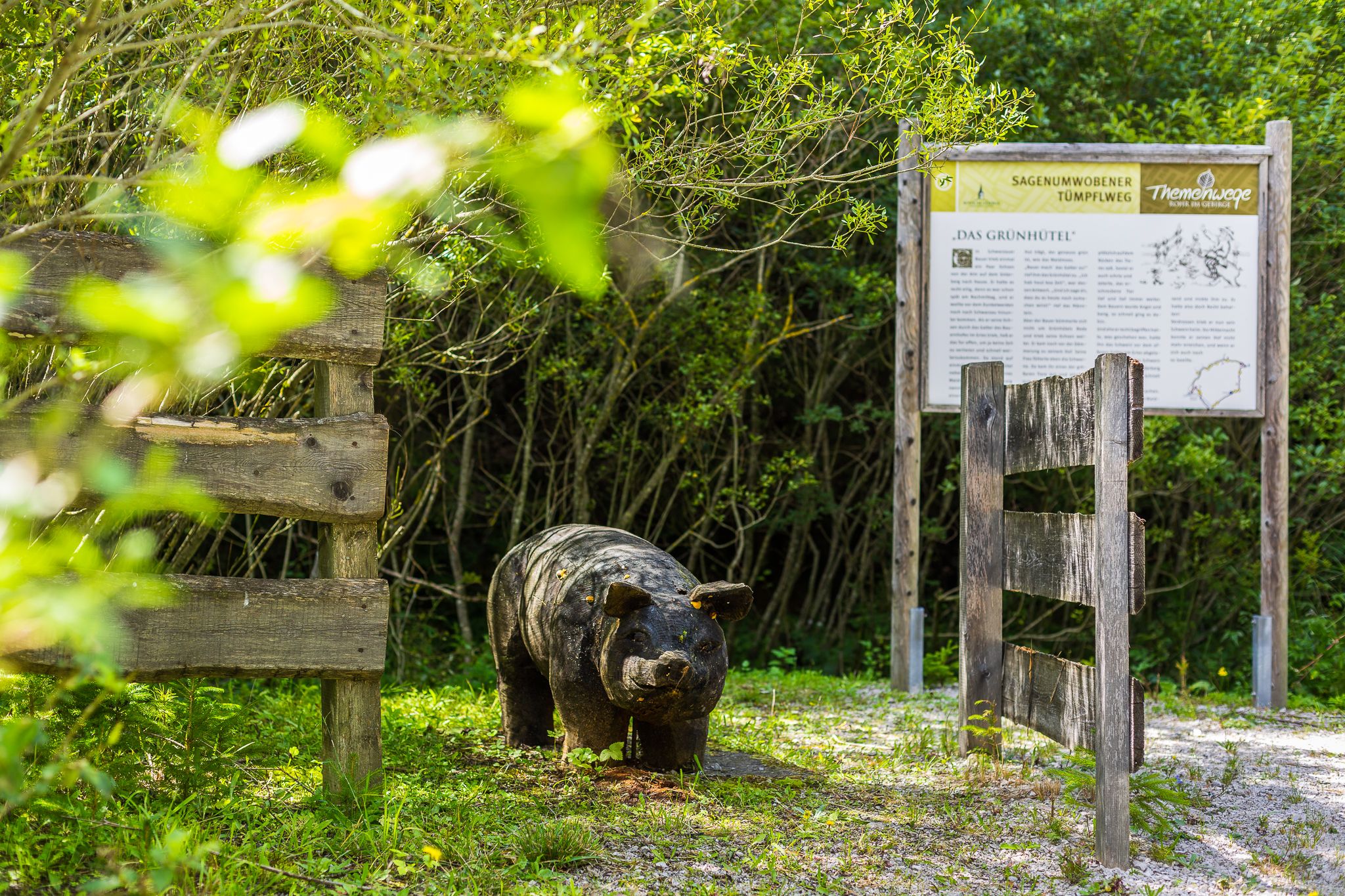 Entrance to the Tümpflweg with wooden wild boar