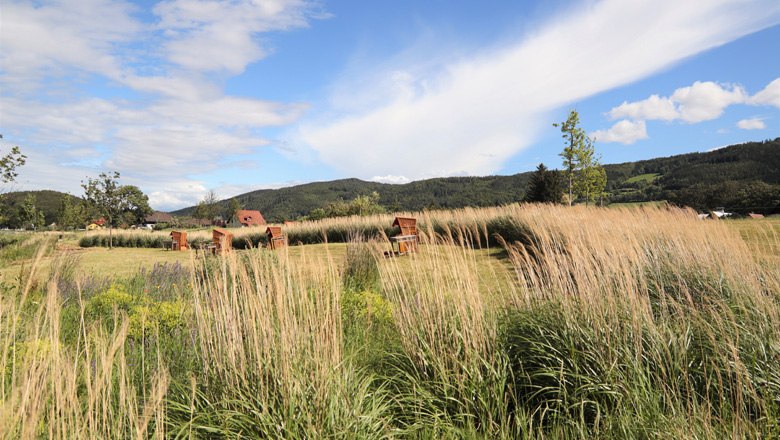 Green meadow with picnic tables and tall grasses, surrounded by hills and blue sky.