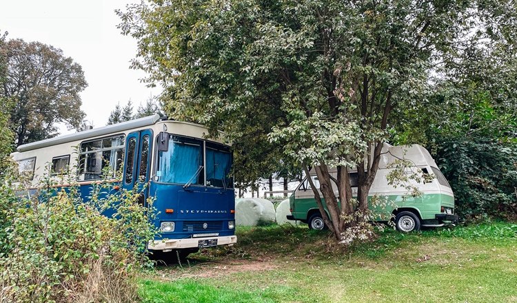 Two old, converted mobile homes are parked on a green meadow under trees.
