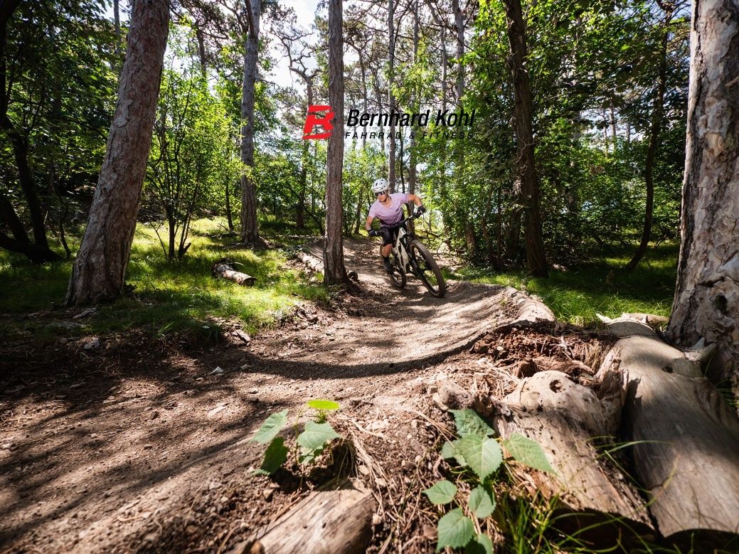 MTB Area Anninger
