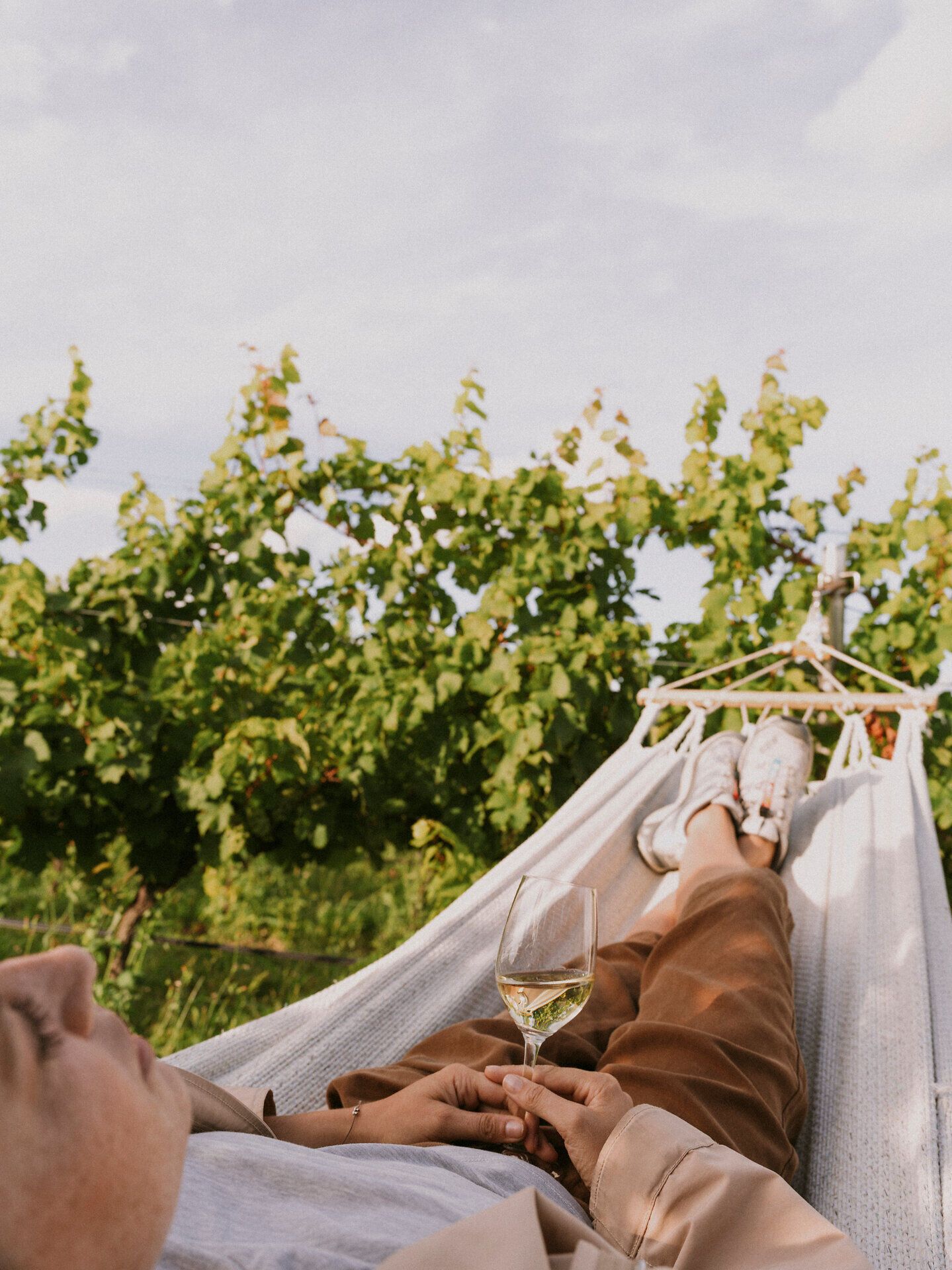 Inmitten der sanften Hügel des Waldviertels lädt eine Hängematte zum Entspannen ein. Ein Glas frischer Wein in der Hand, umgeben von üppigen Weinreben, wird der Sommer hier zum unvergesslichen Erlebnis.