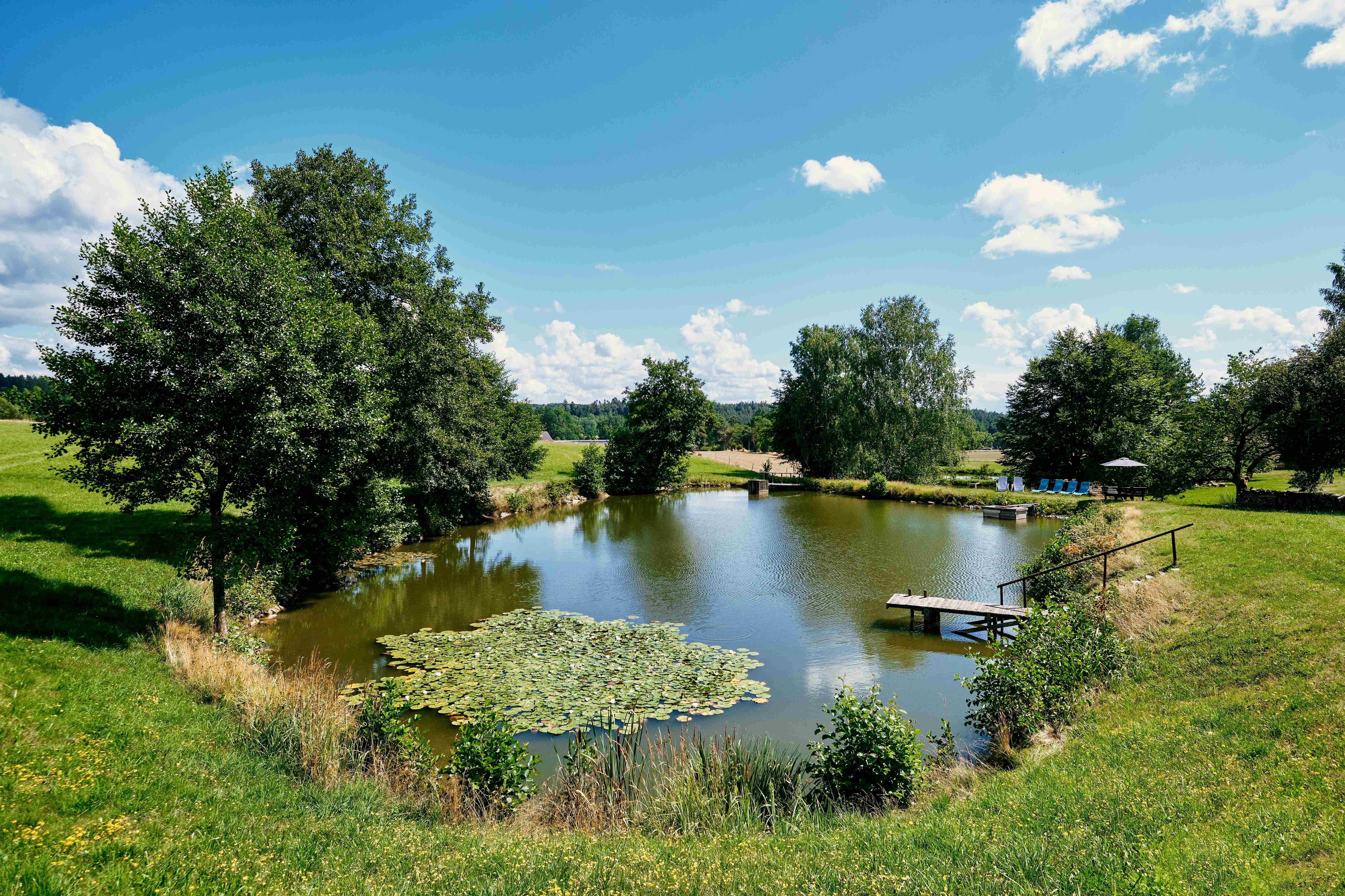 The bathing pond for our guests
