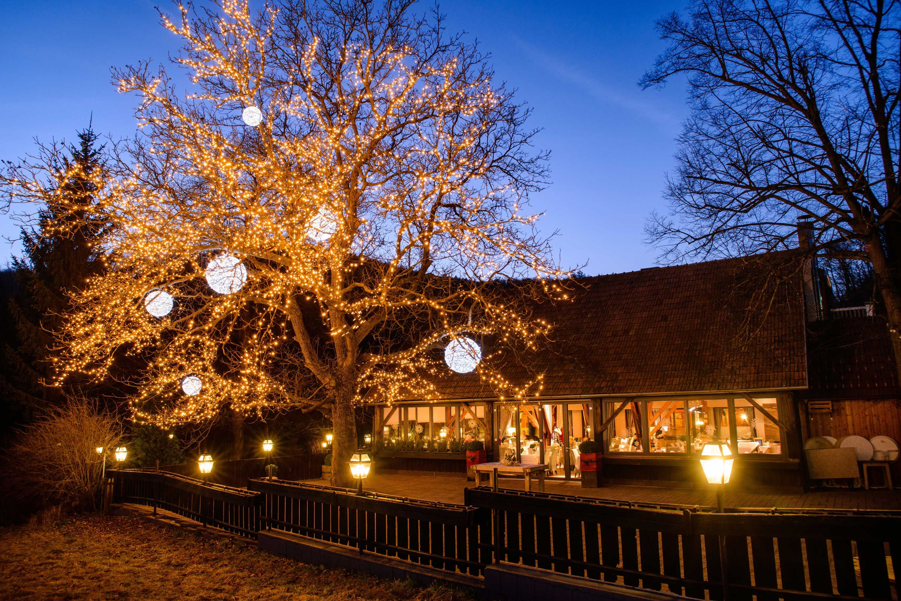 An illuminated tree in front of a building at dusk.