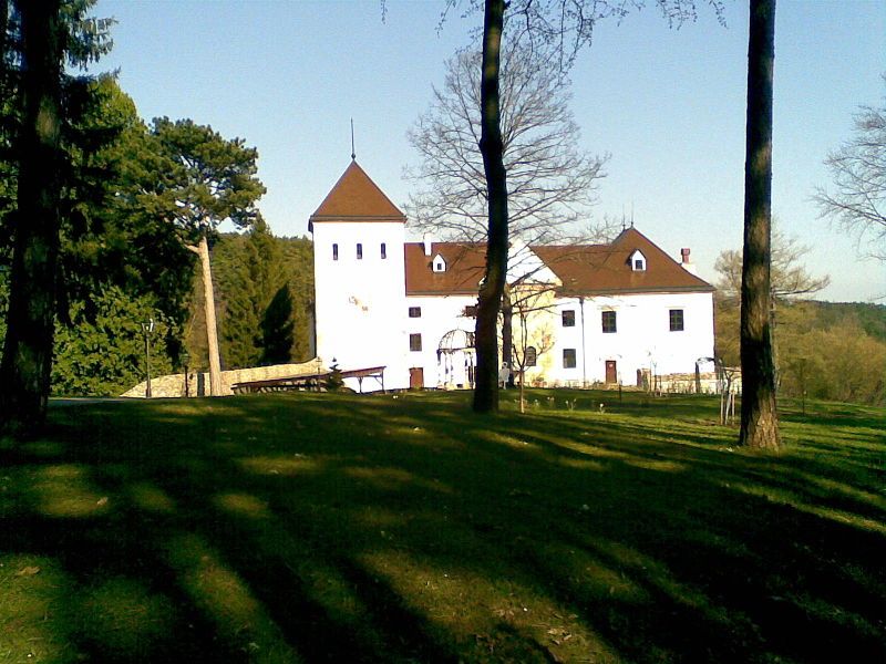 Vöstenhof Castle in a green landscape with trees in the foreground.