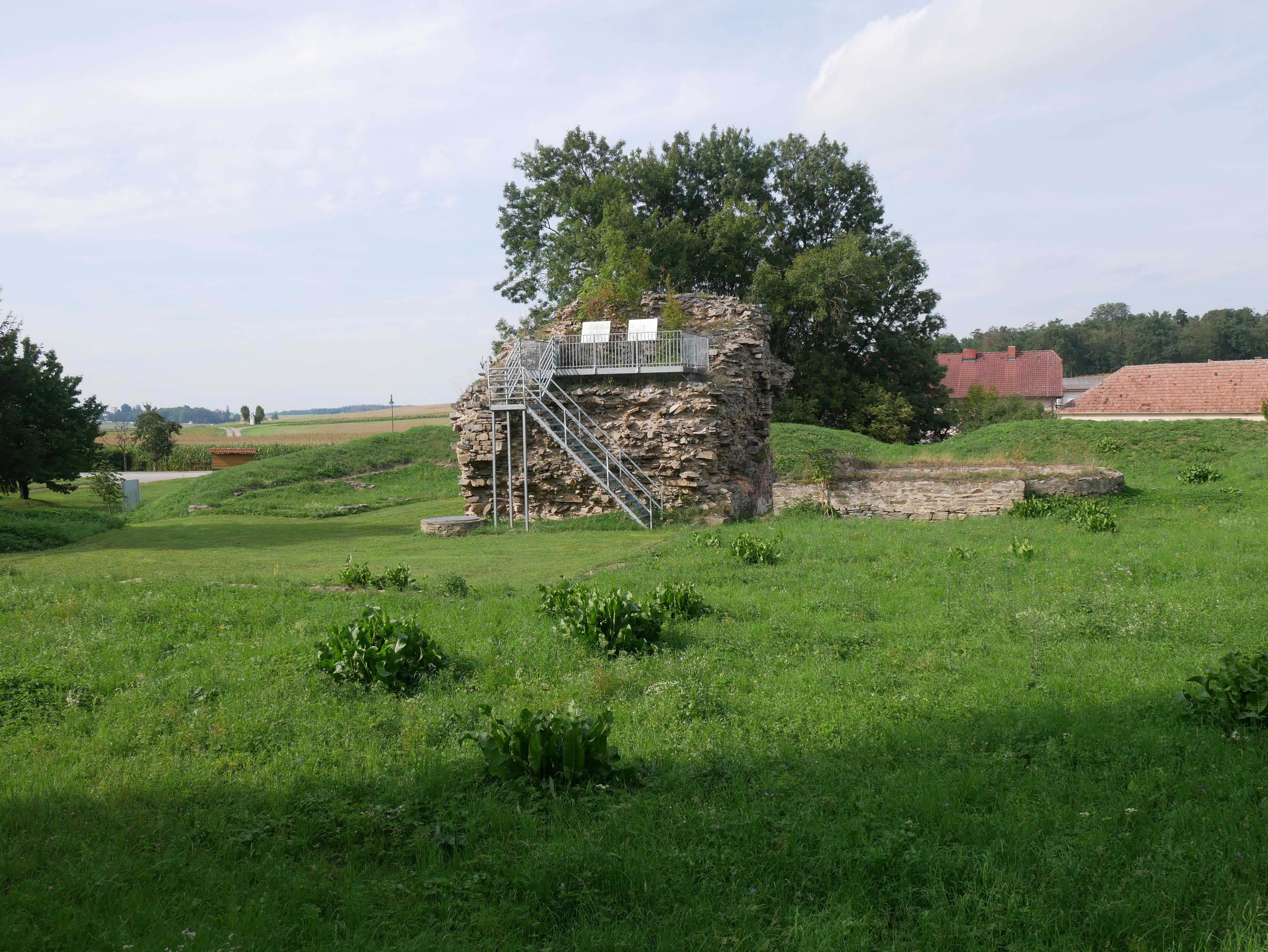 Ruins of Sachsendorf Castle with green meadow and trees in the background.