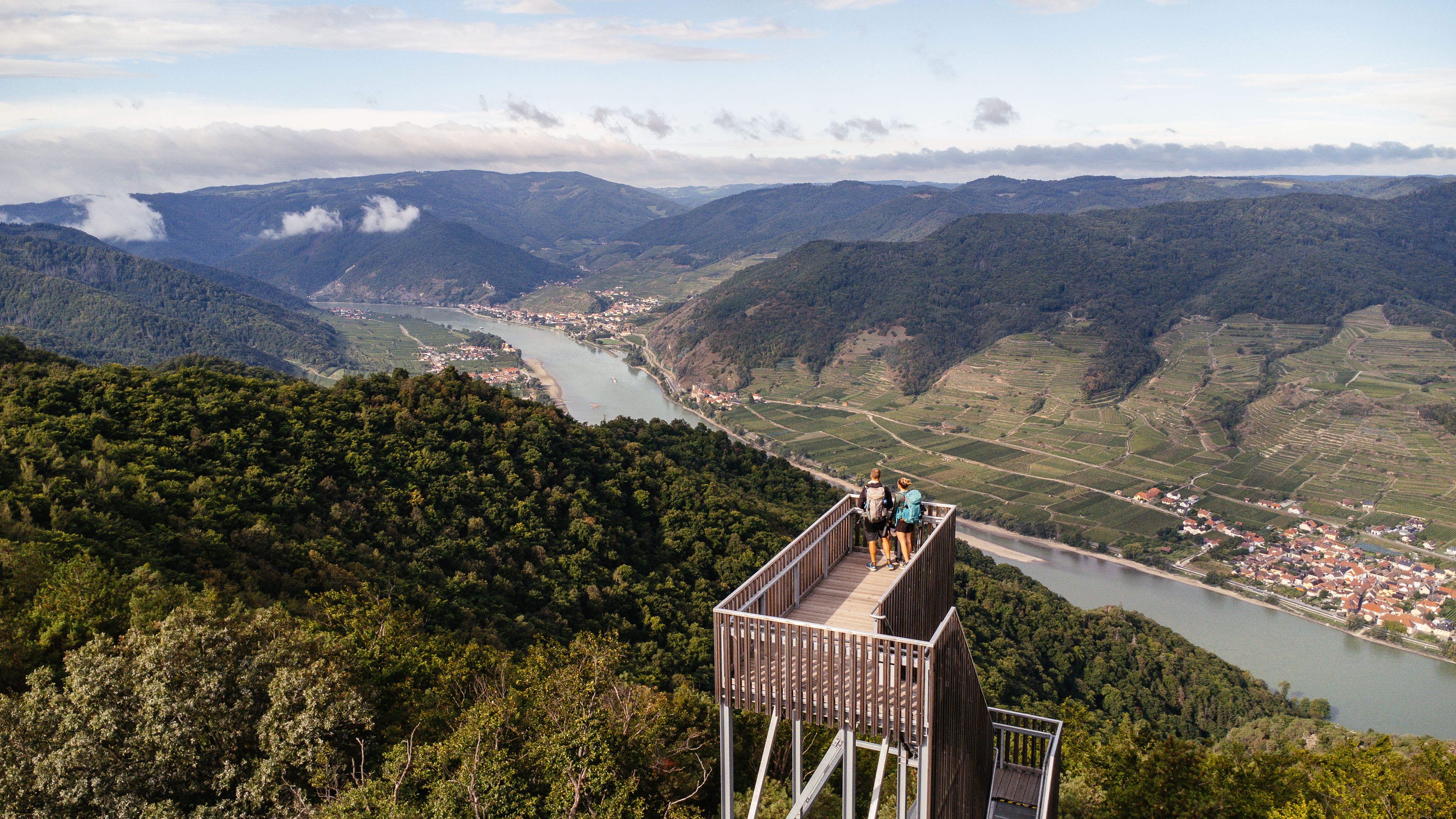 Viewing platform with a view of the river and vineyards in a green landscape.