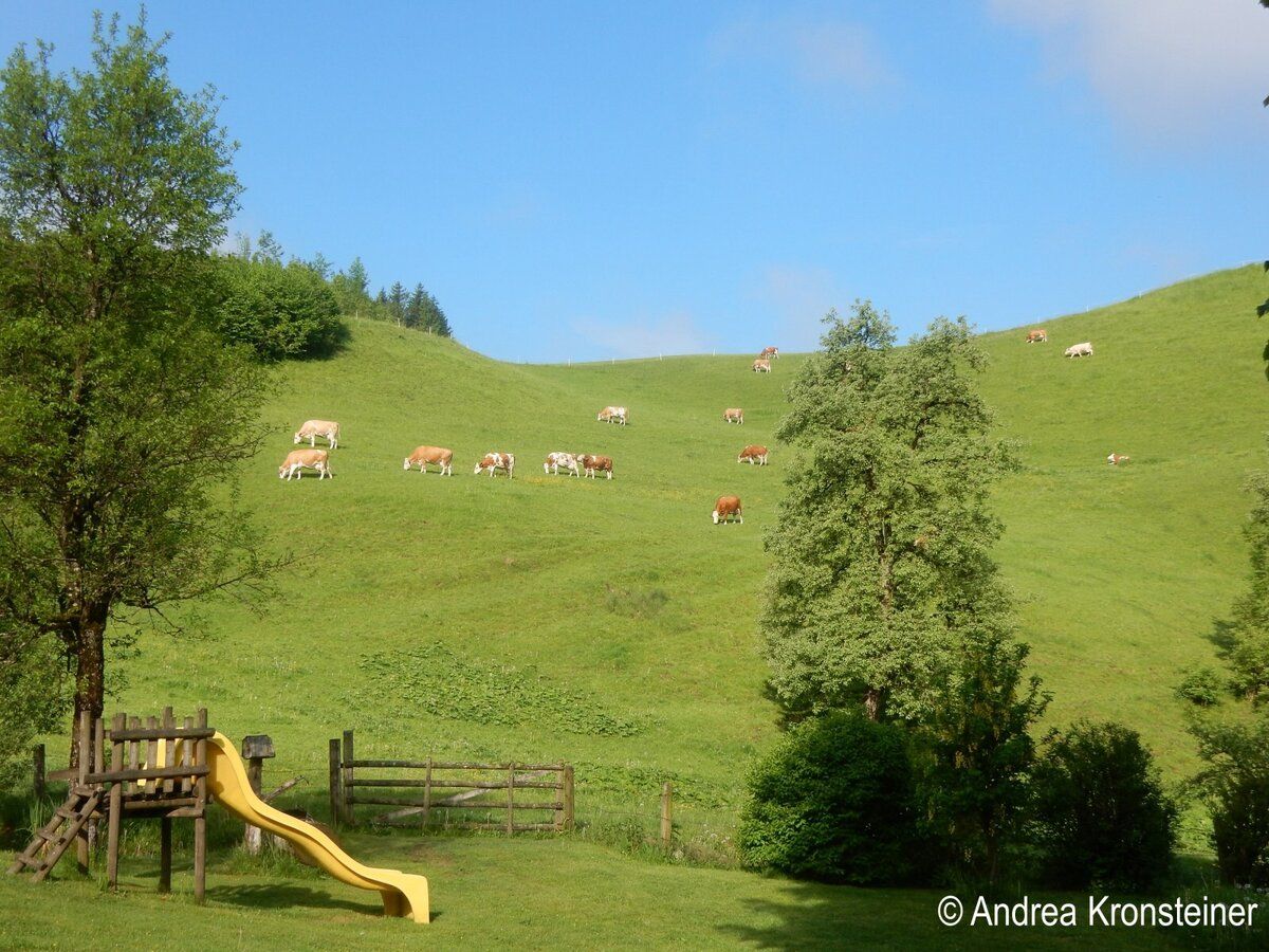 Vacation on the farm-Oberrehau