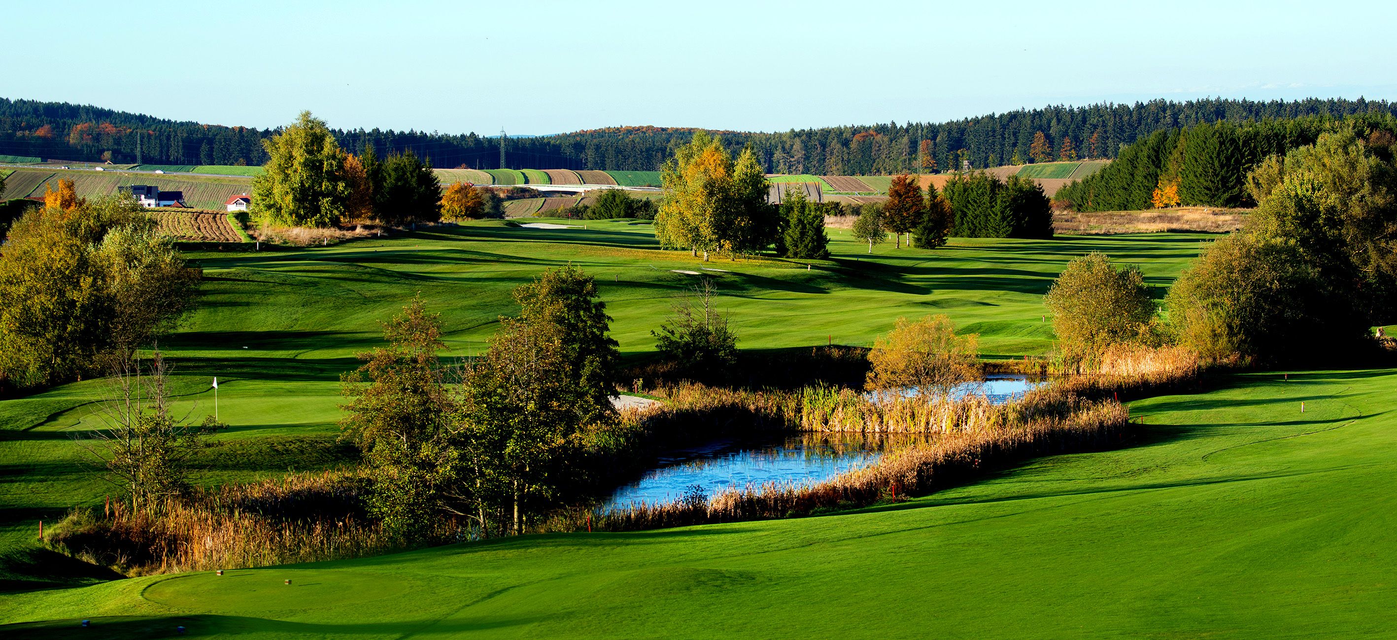 Green golf course landscape with pond and trees in the fall.
