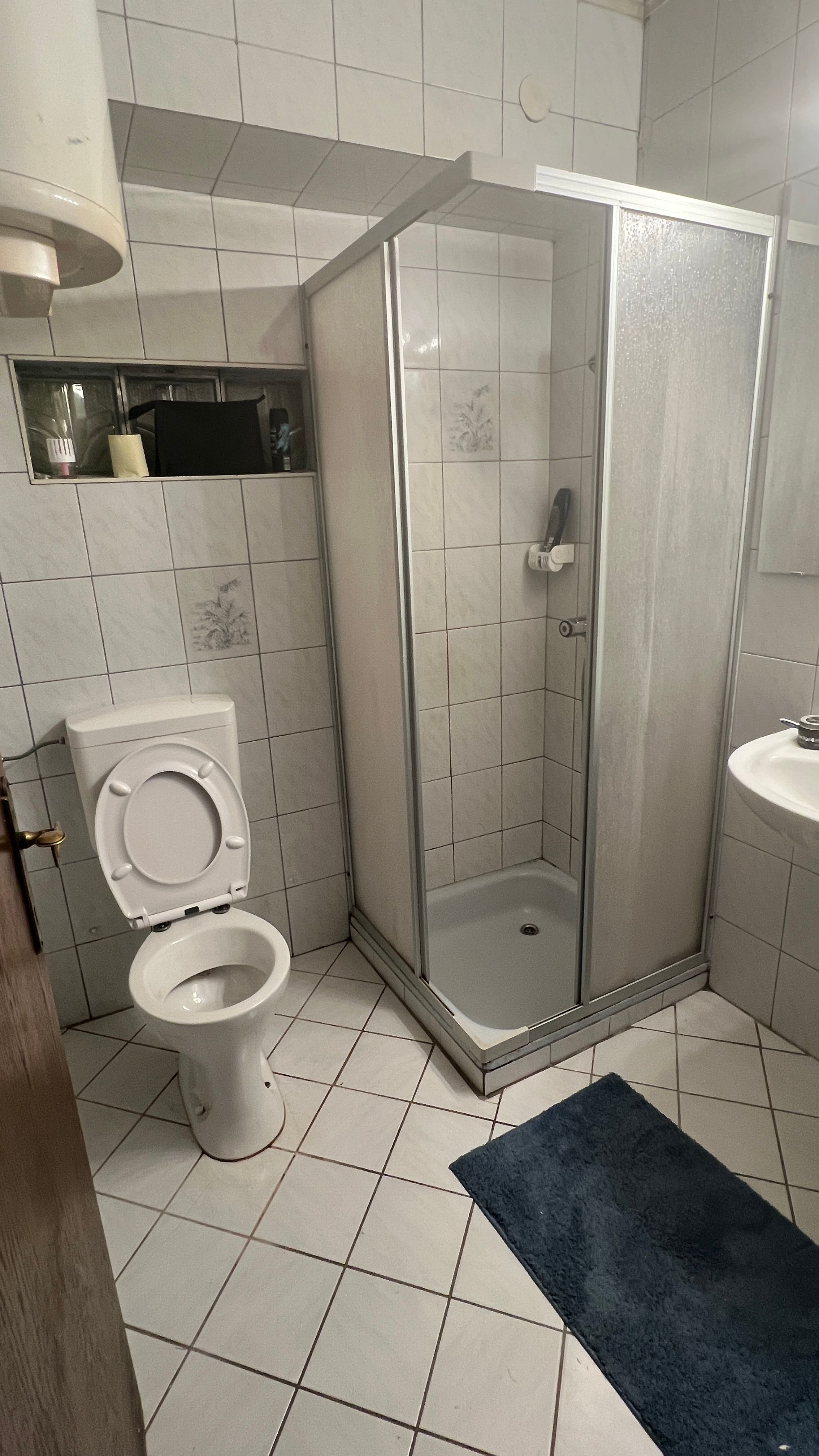 Bathroom with shower, toilet and washbasin.