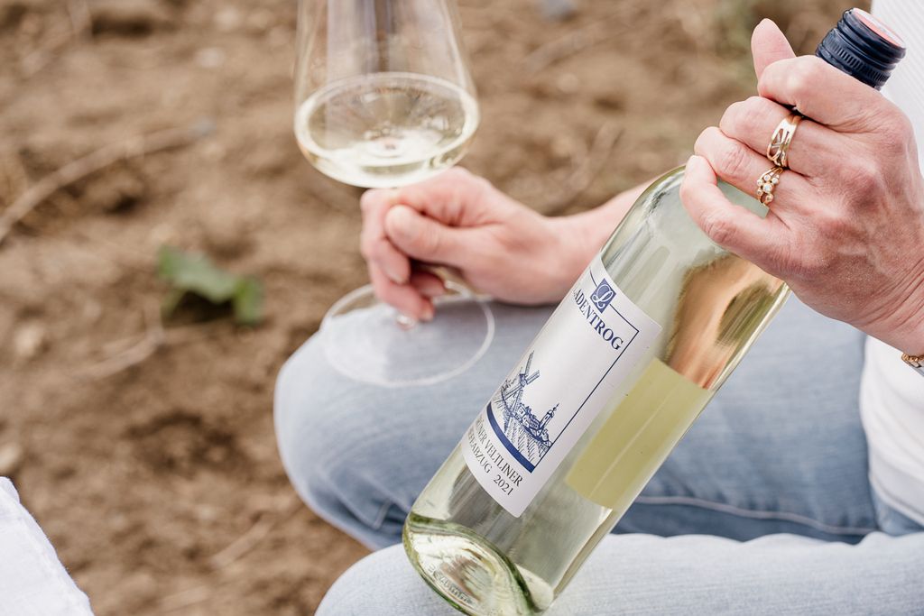 Person holding a bottle of wine and a glass of white wine.