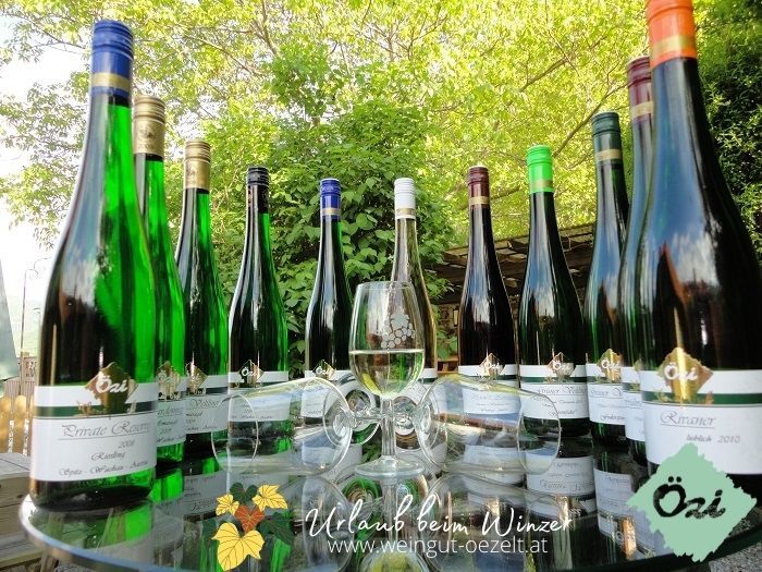 A selection of wine bottles and a wine glass on an outdoor table surrounded by green vegetation.