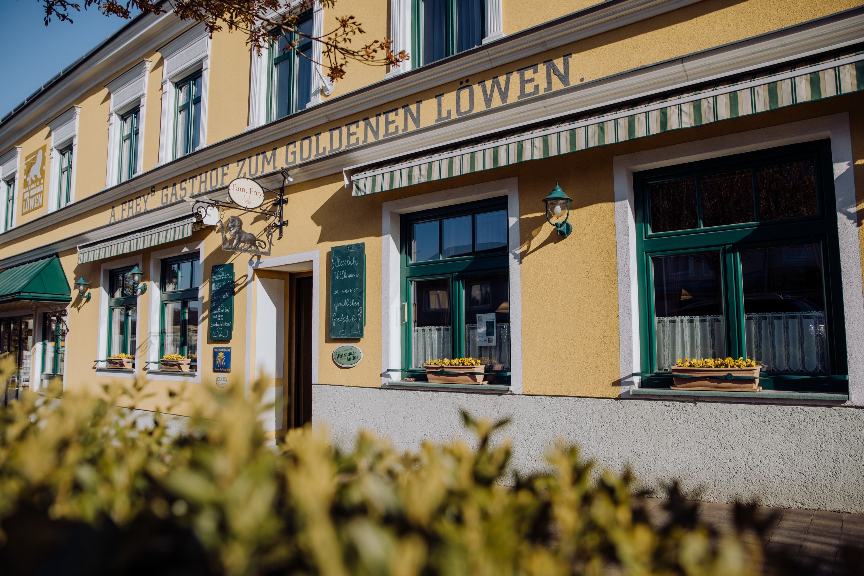 Yellow inn 'Zum Goldenen Löwen' with green shutters and flower boxes.
