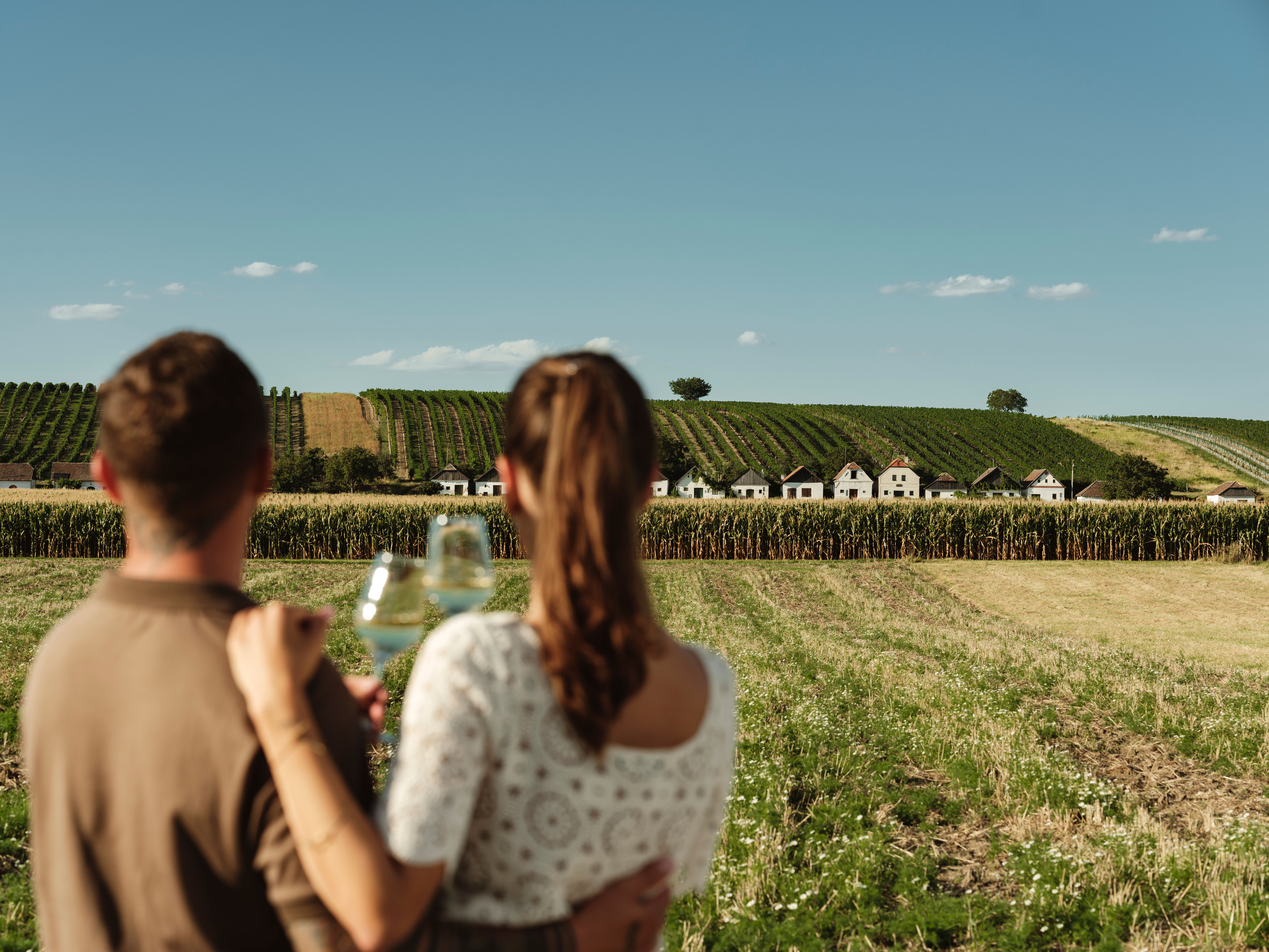A couple looks out over a wine cellar lane in Diepolz, surrounded by vineyards and fields, with glasses of wine in their hands.