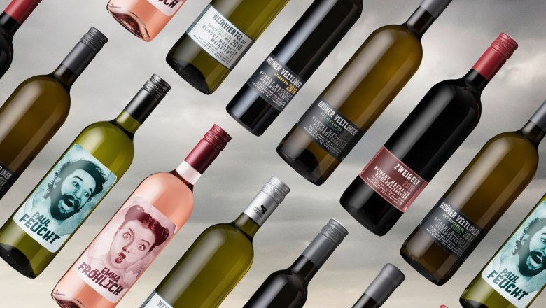 Various wine bottles arranged diagonally against a gray background.