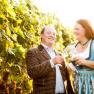A man and a woman clink glasses in a vineyard.