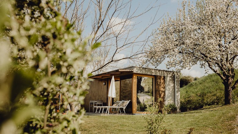 Small modern building in a garden with flowering trees and sun loungers.