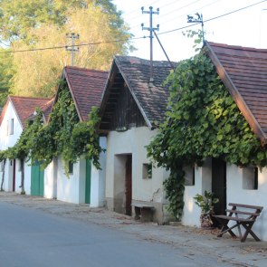 Hadres cellar lane, © Weinviertel Tourismus/Krönigsberger