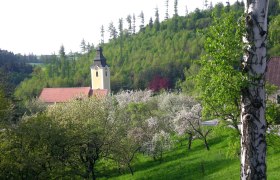 Landscape with church, blossoming trees and green hill.