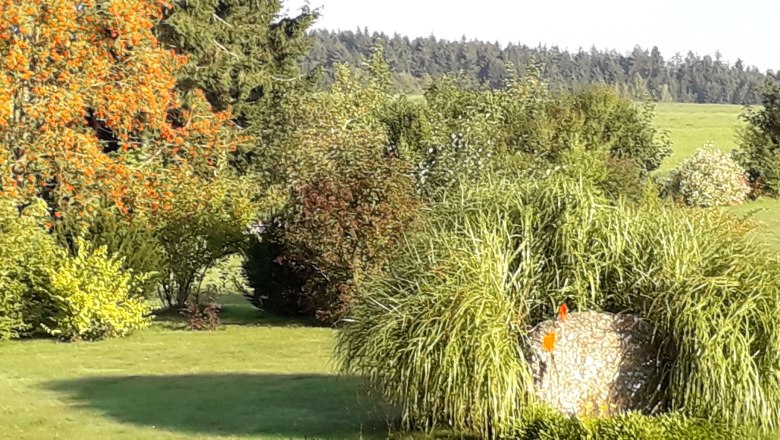 Garden, &copy; Reinhard Kratochvil