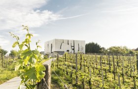 Wine route Kamptal, © Niederösterreich-Werbung/ Robert Herbst