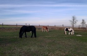 Horse hike, © Sabine Strasser