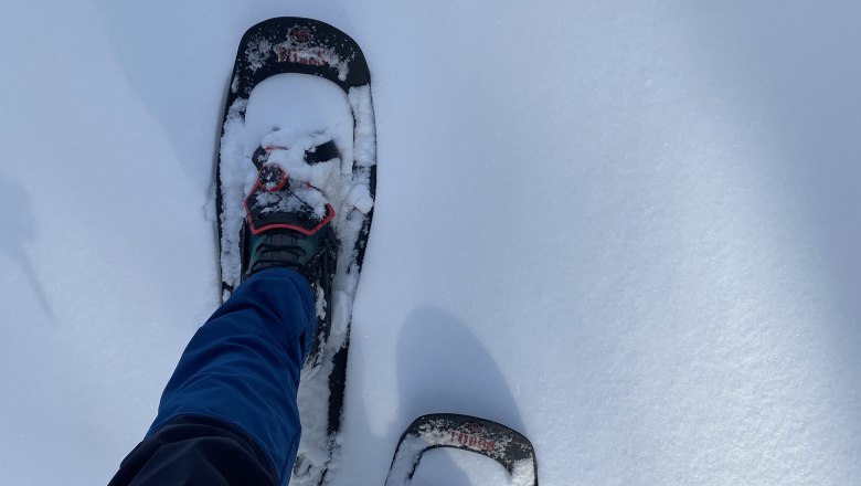 Person with snowshoes on snow-covered ground.