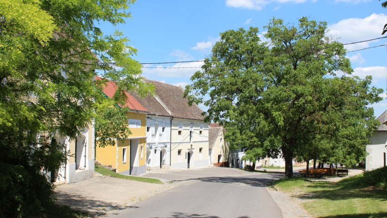 A quiet street in the Straning wine cellar lane with trees and traditional buildings.