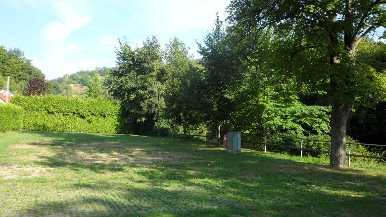 Green meadow with trees and hedges in the background, blue sky.