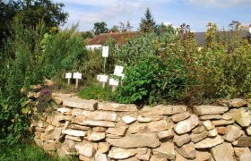Herb bed on a dry stone wall with signs, surrounded by plants and trees.