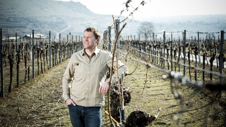 A man stands in a barren vineyard and gazes into the distance. Hills can be seen in the background.