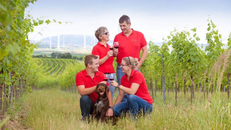 Four people in red shirts and a dog in a vineyard.