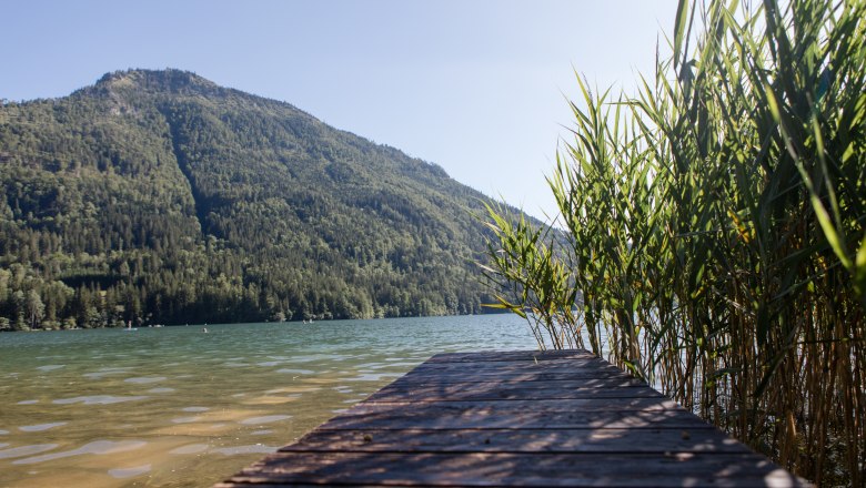 A wooden footbridge leads to a lake with reeds on the shore and a wooded mountain in the background.