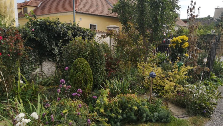 A colorful garden with various plants and flowers in front of a yellow house with a red roof.