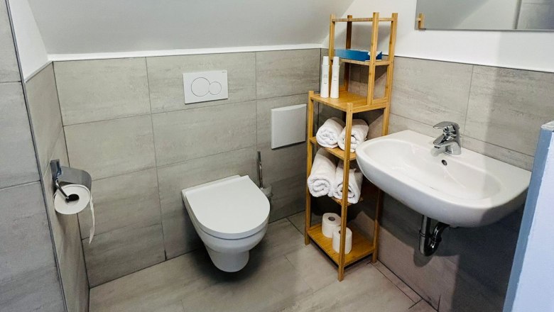 Bathroom with WC, washbasin and shower.
