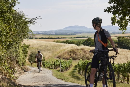 on the Kamp-Thaya-March cycle route, © Stefan Mayerhofer